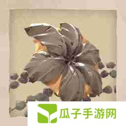 落日山丘全成就一览表-落日山丘全成就达成条件