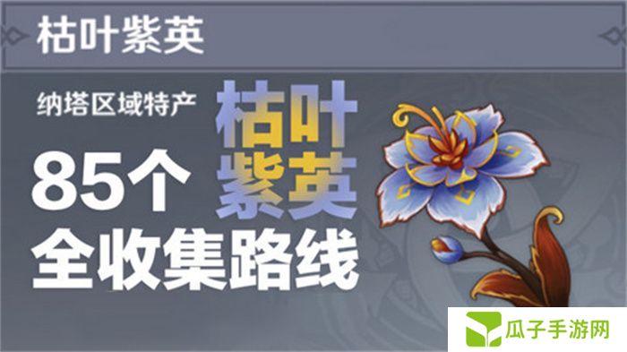 原神枯叶紫英收集全攻略 85个枯叶紫英位置在哪里[多图]图片1