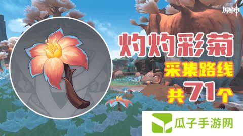 原神灼灼彩菊最新收集位置大全 71个灼灼彩菊在哪里[多图]图片1