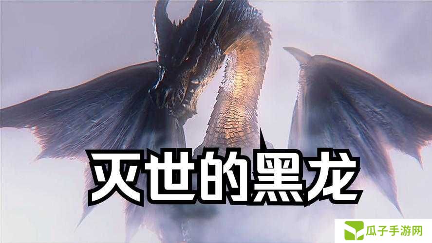 冰原守卫者黑龙技能书究竟如何获取？详细步骤与技巧全解析